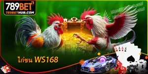 ws168 สนามชนไก่คุณภาพ ดูถ่ายทอดสดได้ที่ 789bet