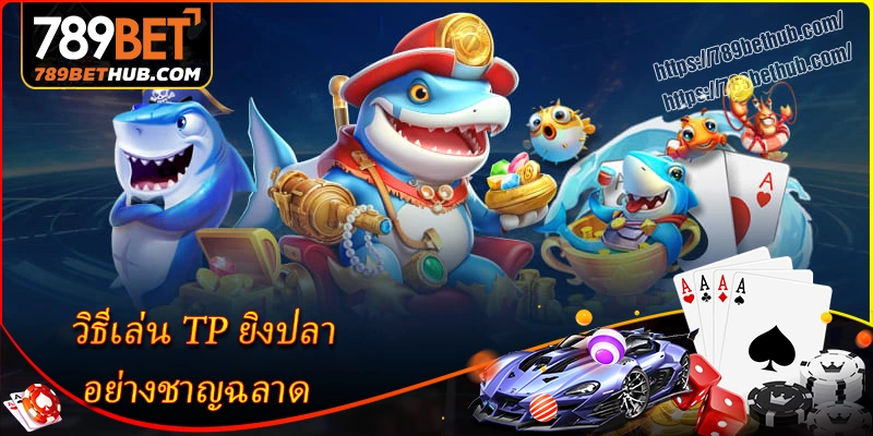 วิธีเล่น tp ยิงปลา อย่างชาญฉลาด วิธีเล่น tp ยิงปลา อย่างชาญฉลาด