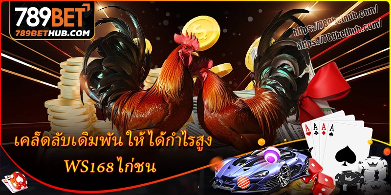 เคล็ดลับเดิมพัน ws168 ไก่ชน ให้ได้กำไรสูง