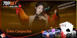 ไก่ชน campuchia ห้องเดิมพันอันดับ 1 ยอดนิยมที่ 789bet