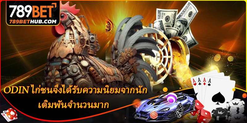 ODIN ไก่ชนจึงได้รับความนิยมจากนักเดิมพันจำนวนมาก