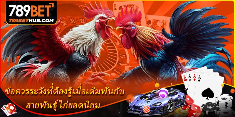 ข้อควรระวังที่ต้องรู้เมื่อเดิมพันกับสายพันธุ์ไก่ยอดนิยม