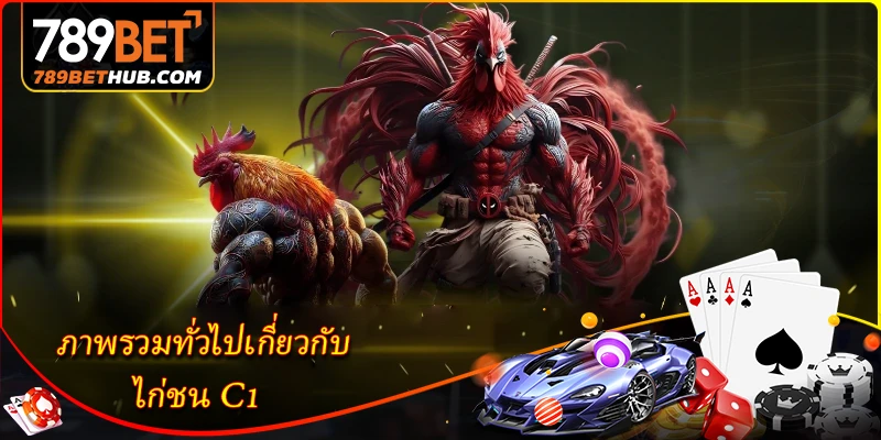 Đấu gà C1 - Khám phá cuộc thi đấu gà đỉnh cao 1 Tổng quan về gà chọi C1.