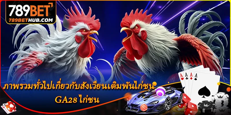 ภาพรวมทั่วไปเกี่ยวกับสังเวียนเดิมพันไก่ชน GA28 ไก่ชน