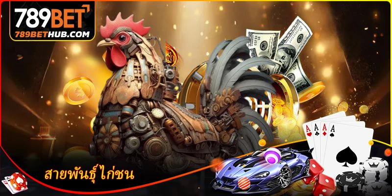 สายพันธุ์ไก่ชนชื่อดังที่ผู้คนนิยมรู้จัก