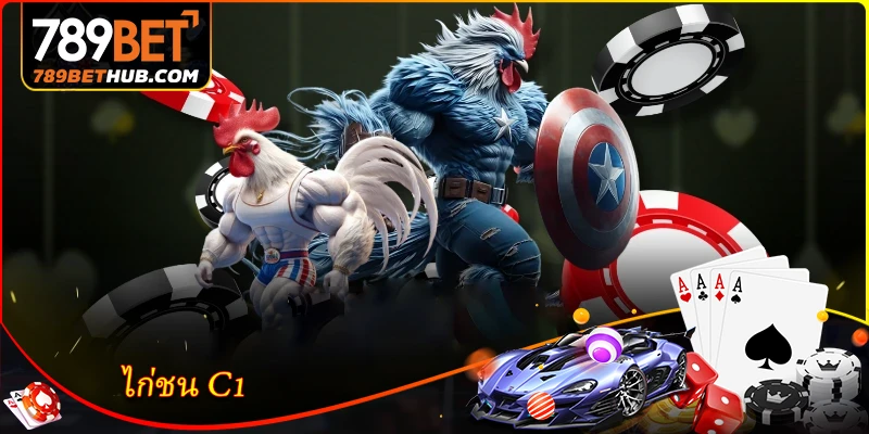Đấu gà C1 - Khám phá cuộc thi đấu gà đỉnh cao 2 Đấu gà C1 - Khám phá cuộc thi đấu gà đỉnh cao